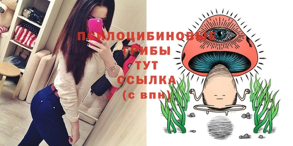 ПСИЛОЦИБИНОВЫЕ ГРИБЫ Каменногорск