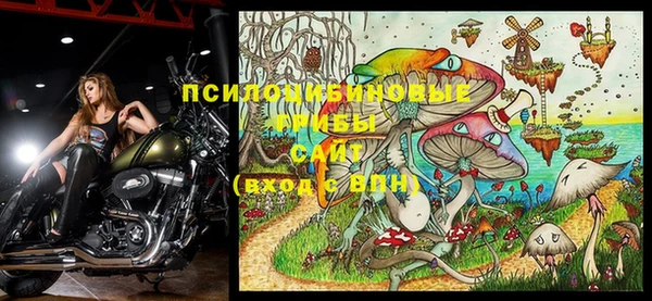 ПСИЛОЦИБИНОВЫЕ ГРИБЫ Каменногорск
