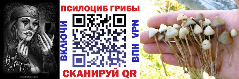 Псилоцибиновые грибы мицелий  купить наркотики цена  Пушкино 