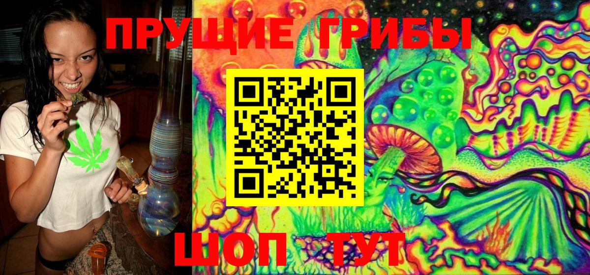 Псилоцибиновые грибы ЛСД  Галлюциногенные грибы Psilocybine cubensis  Вход с VPN  Пушкино 