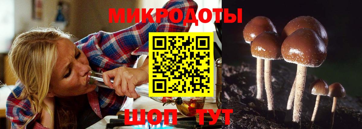 Псилоцибиновые грибы GOLDEN TEACHER Пушкино