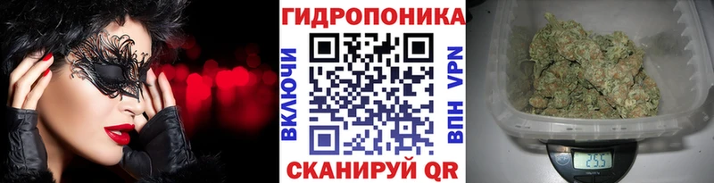 Шишки марихуана Ganja  Пушкино 